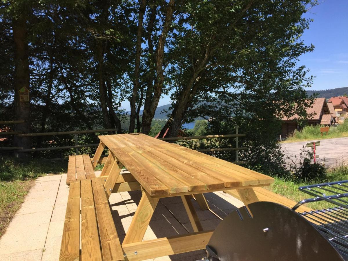 Chalet Le Flocon Bleu - Mauselaine Avec Vue Sur Le Lac De Gérardmer Zewnętrze zdjęcie