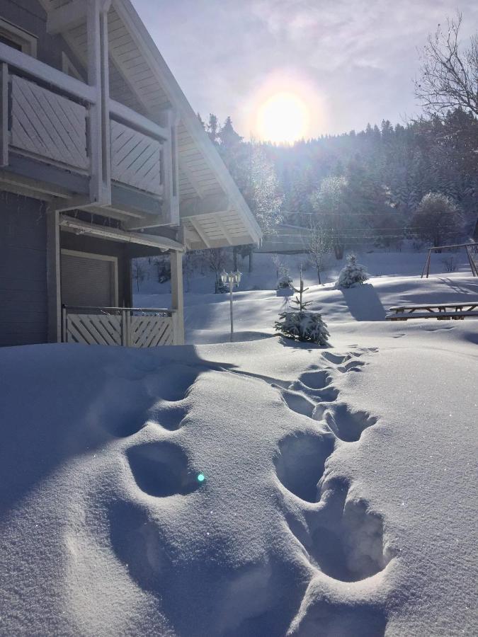 Chalet Le Flocon Bleu - Mauselaine Avec Vue Sur Le Lac De Gérardmer Zewnętrze zdjęcie