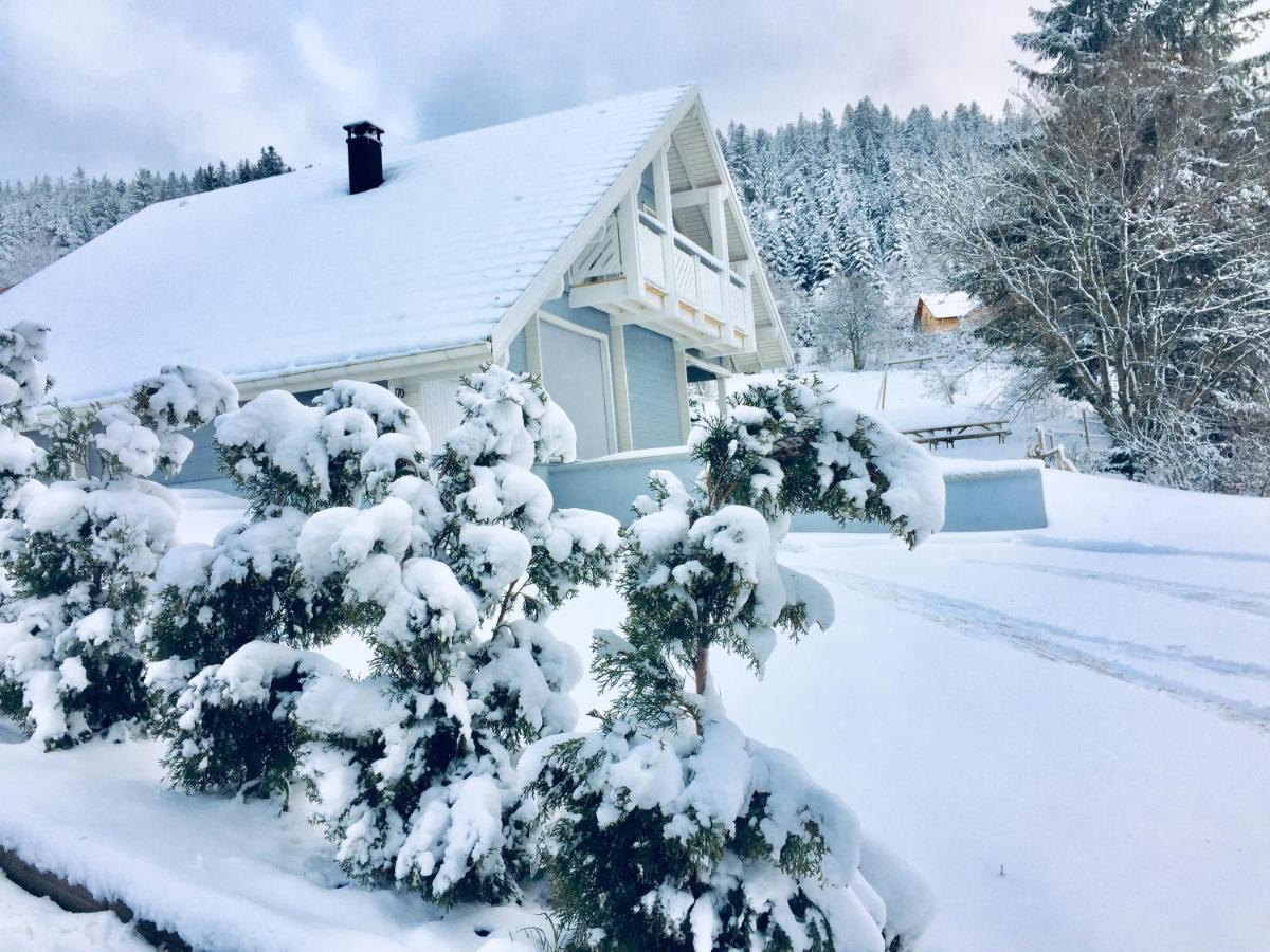 Chalet Le Flocon Bleu - Mauselaine Avec Vue Sur Le Lac De Gérardmer Zewnętrze zdjęcie
