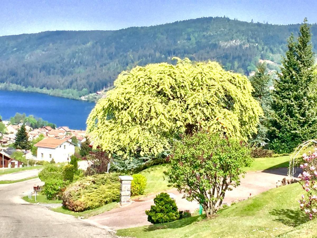 Chalet Le Flocon Bleu - Mauselaine Avec Vue Sur Le Lac De Gérardmer Zewnętrze zdjęcie